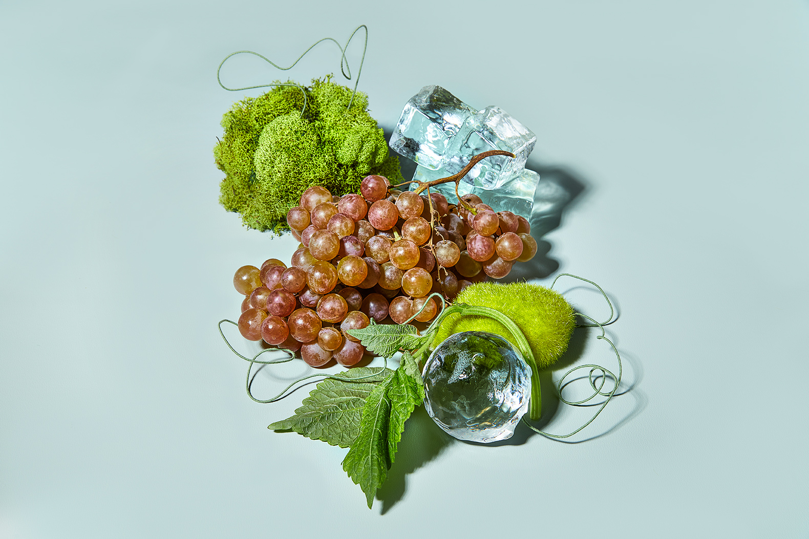 Jennifer_Marx_StillLife_Fruit_Ice